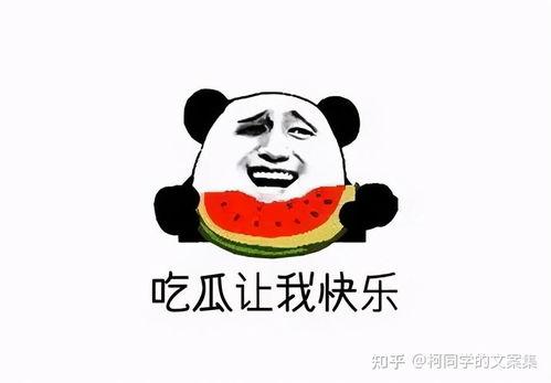 娱乐吃瓜酱学不进去了,学不进去了,揭秘学习困境背后的娱乐诱惑