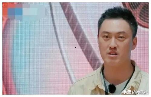 吃瓜娱乐圈揭秘,揭秘明星们的“吃瓜”生活