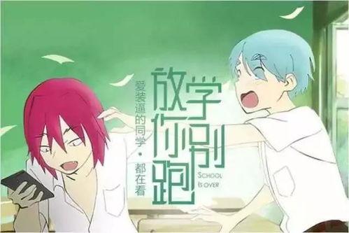 娱乐吃瓜菌恋爱,甜蜜瓜田里的浪漫邂逅